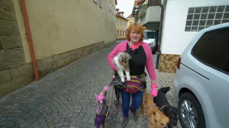 Läuft es heute besser beim Gassi gehen?