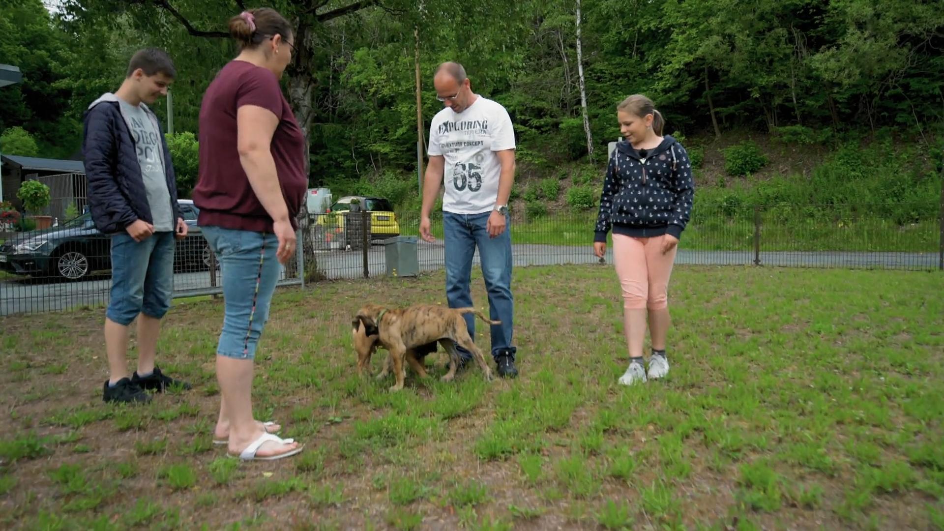 Das erste Mal ein fremder Hund