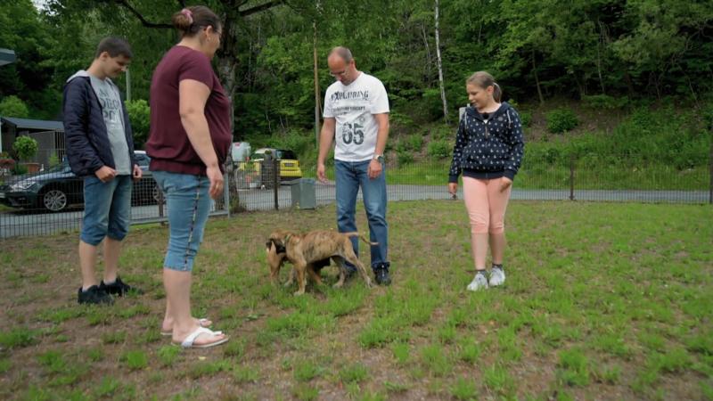 Das erste Mal ein fremder Hund