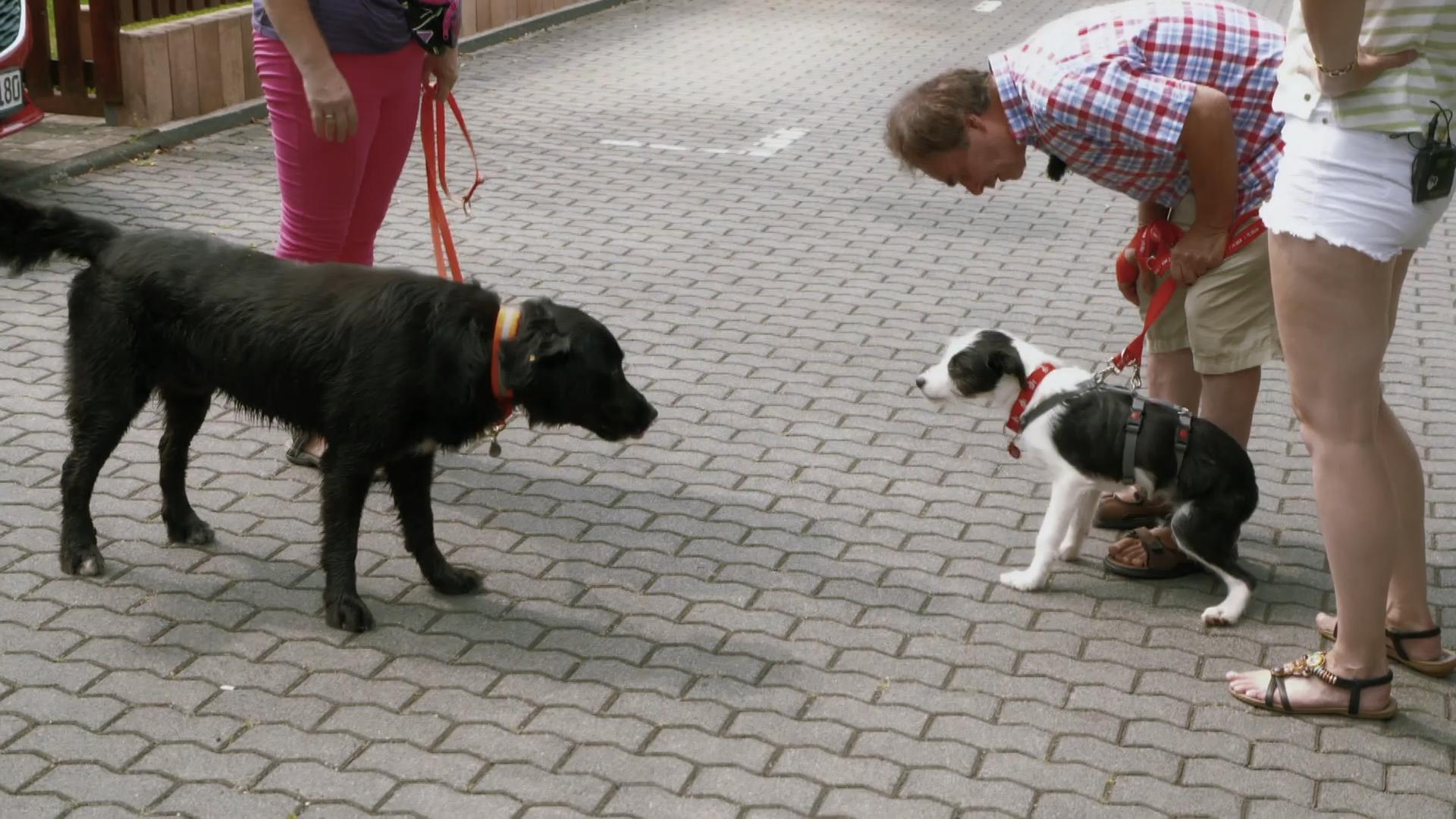 Benehmen ist wichtig