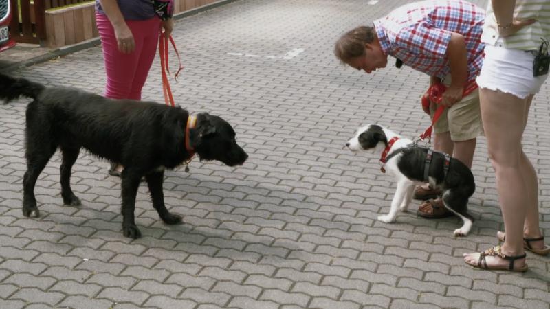 Benehmen ist wichtig