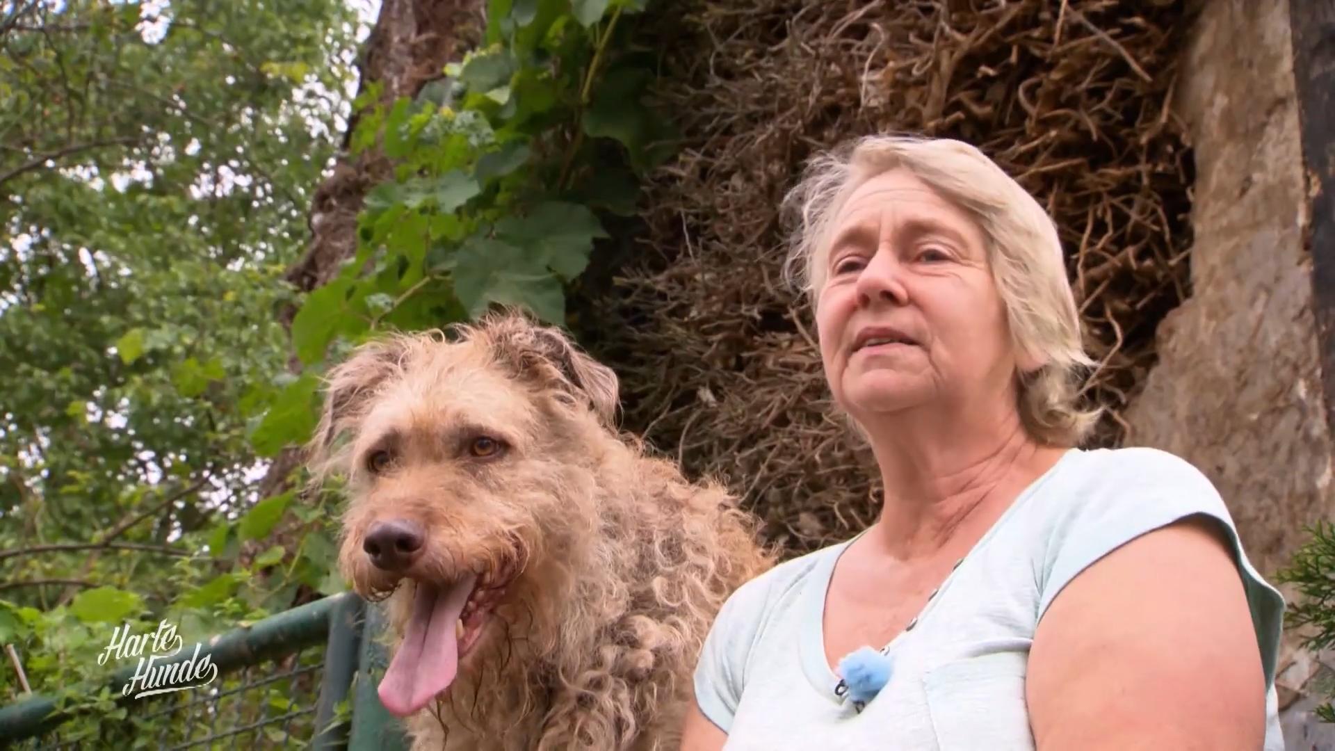 Conny hilft alten, kranken und traumatisierten Hunden