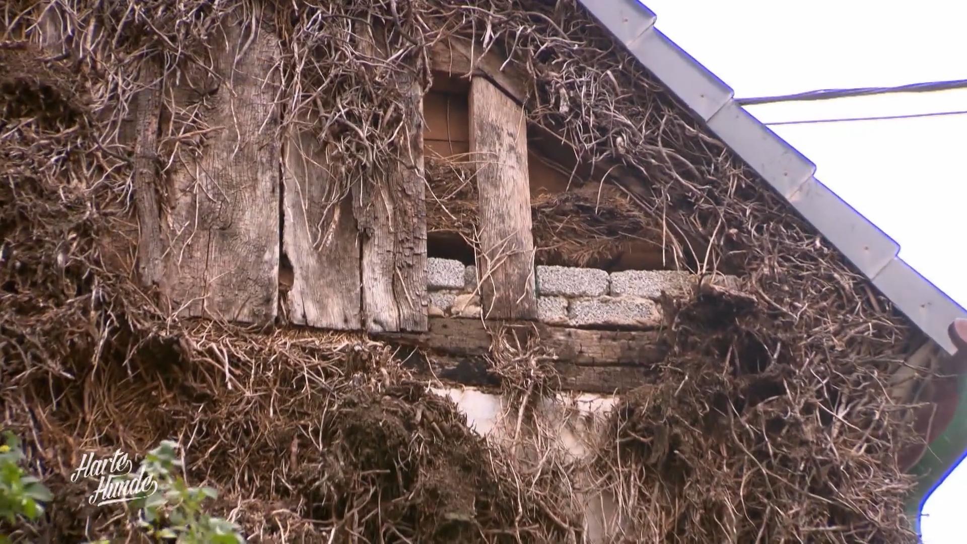 Die Hausfassade ist völlig marode