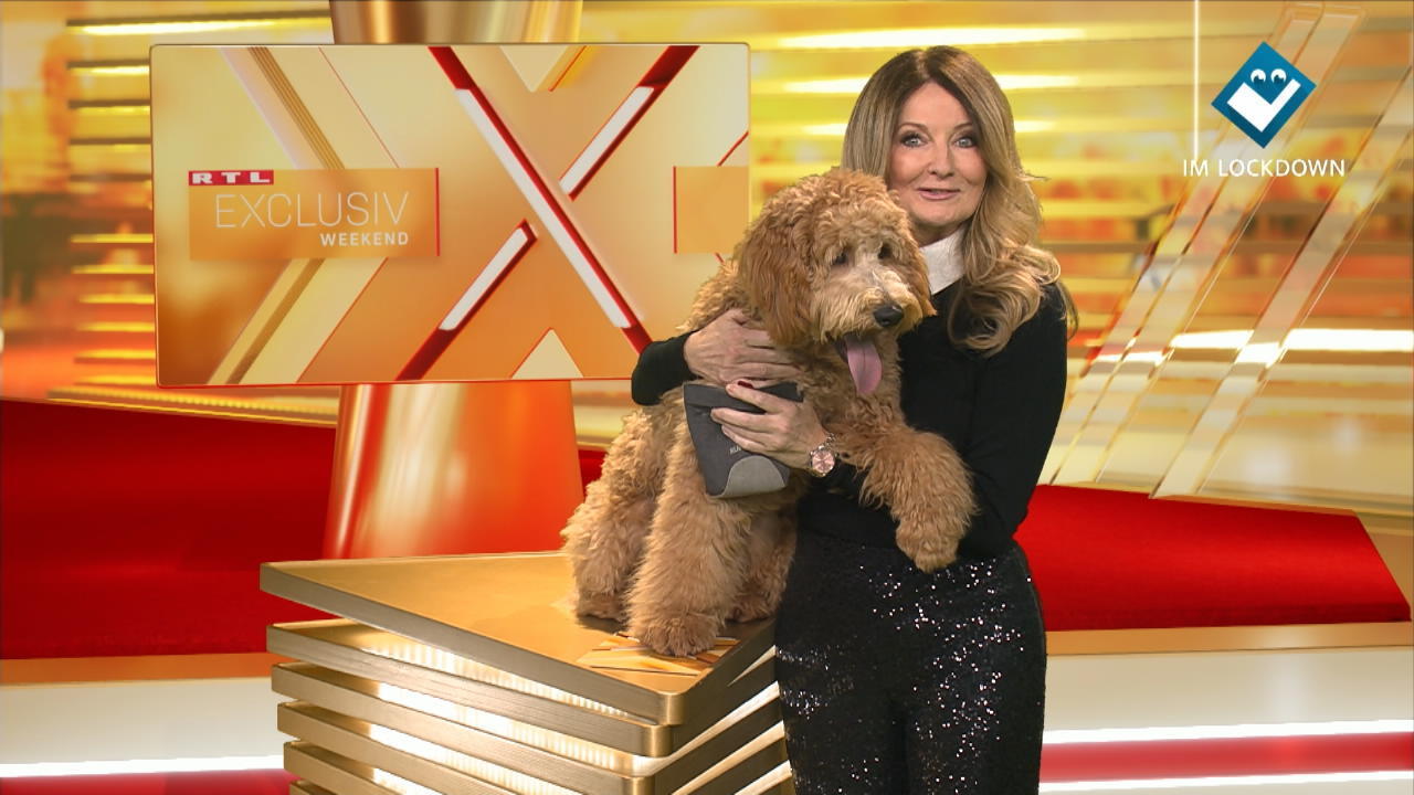 Frauke Ludowig und Hund Cooper bei RTL Exclusiv