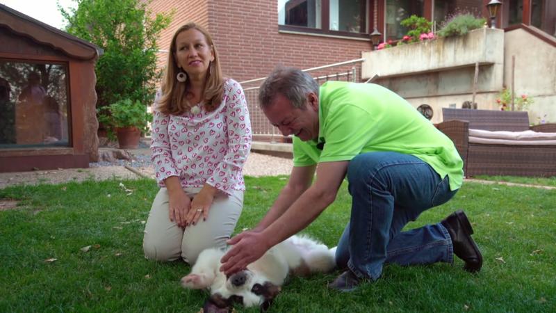 Familie Halm freut sich auf ihren Bernhardiner