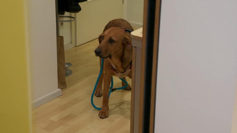 Karamello gewöhnt sich nur langsam