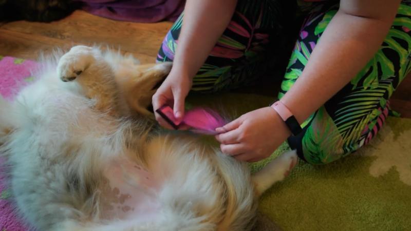 Einstein bekommt die "Stammesfarben"