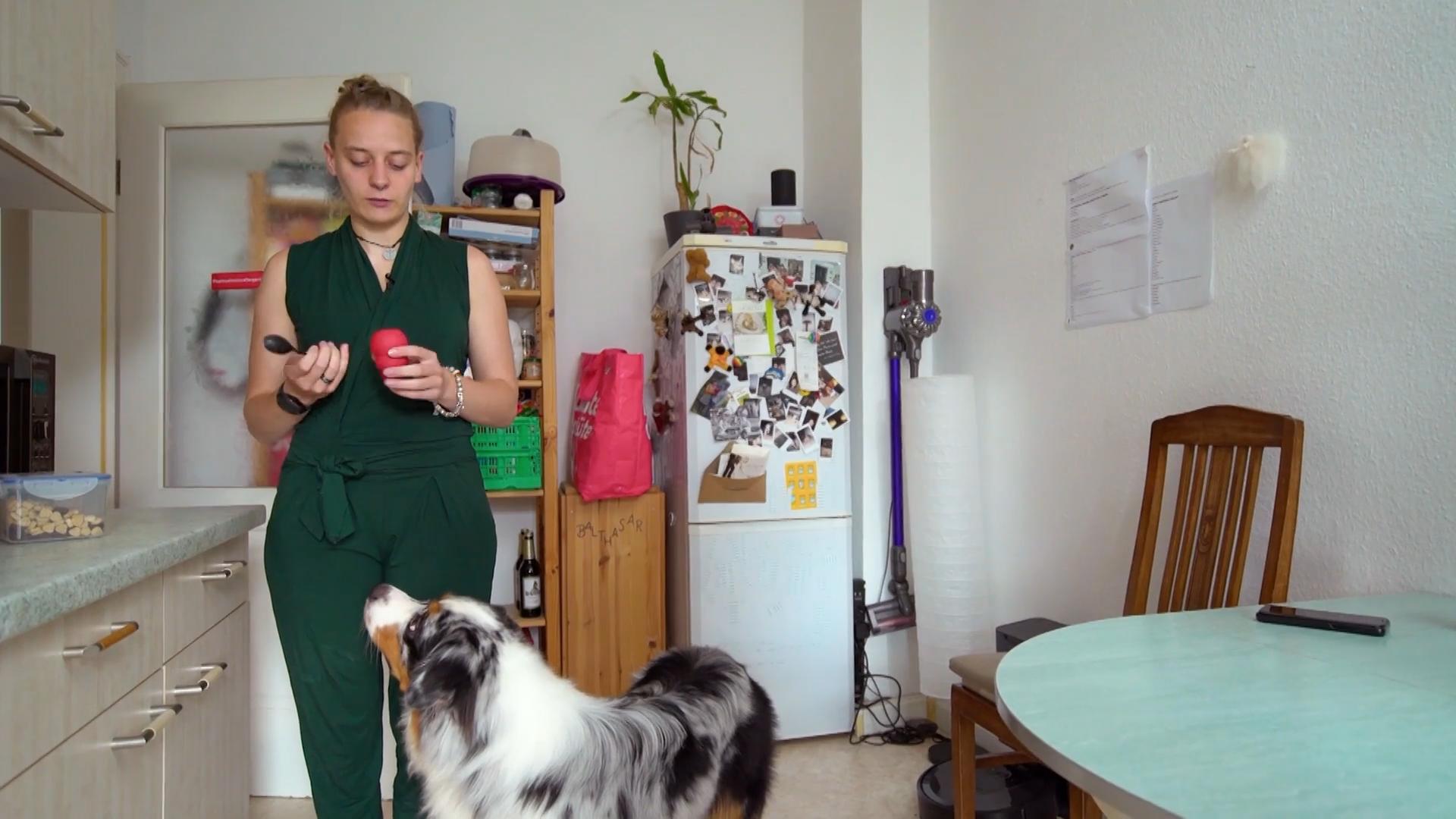 Vor einem Jahr war Balthasar ein echter Terror-Hund