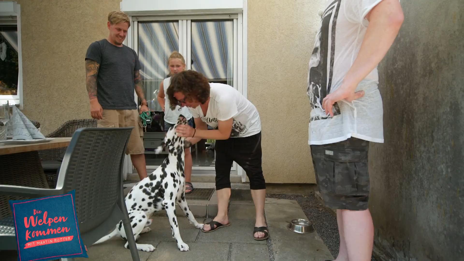 Was, wenn die Hunde aggressiv reagieren?