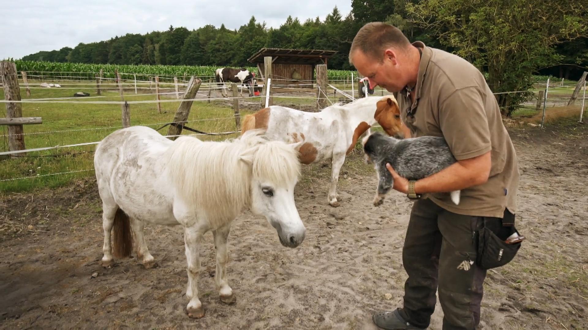 Grace lernt den Bauernhof kennen
