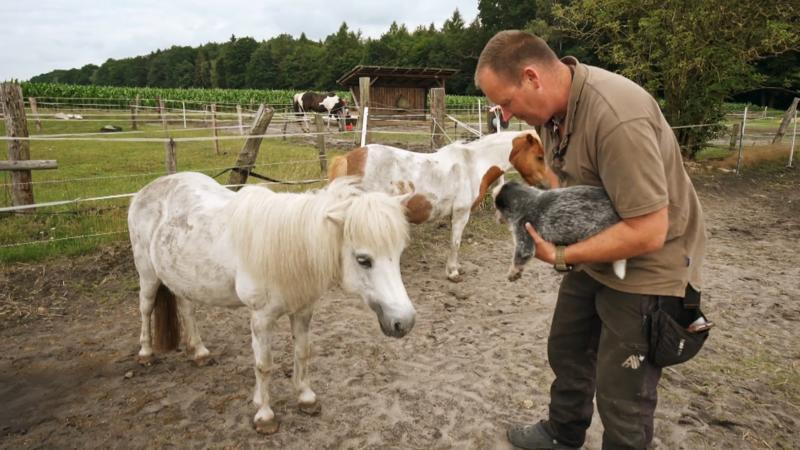 Grace lernt den Bauernhof kennen