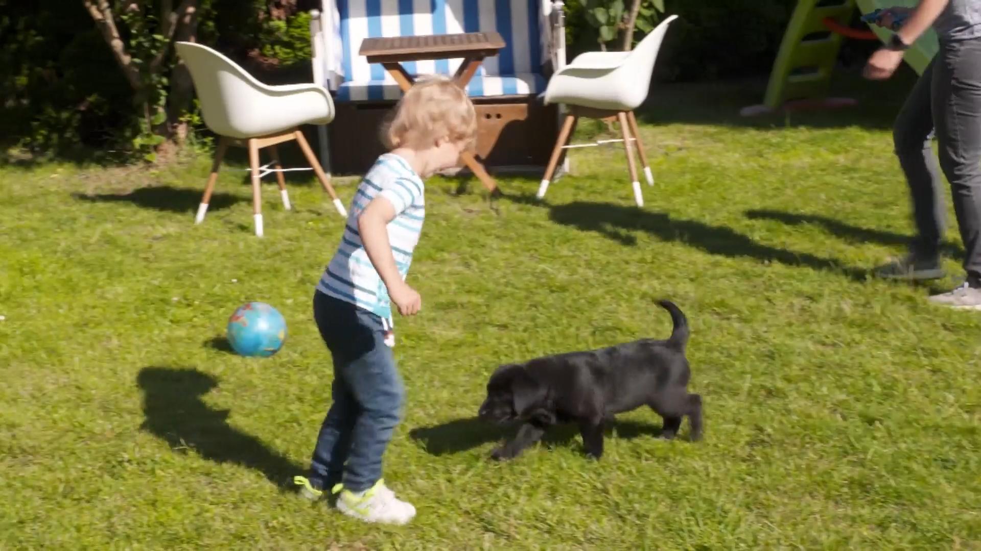 Wenn Kinder das erste Mal Welpen treffen...