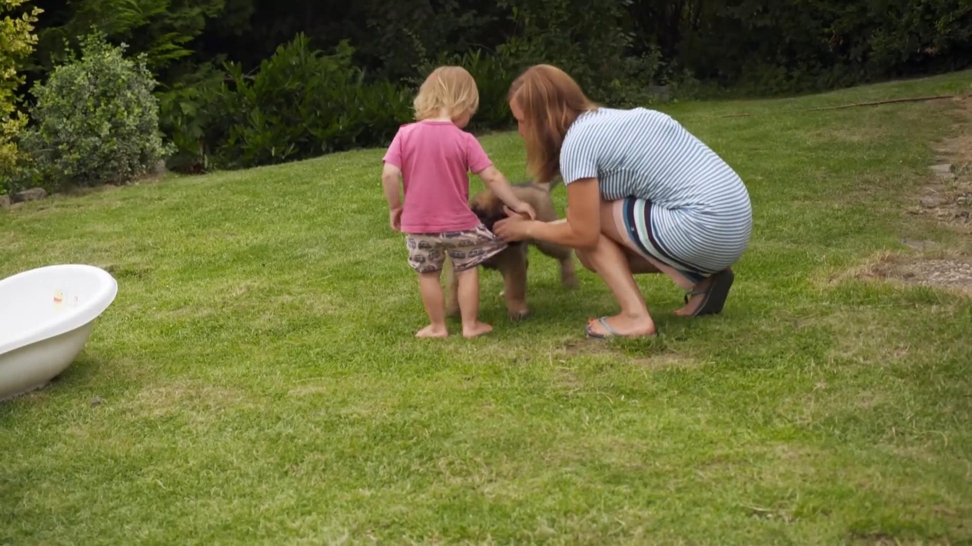 Welpe Dala wird schon früh erzogen