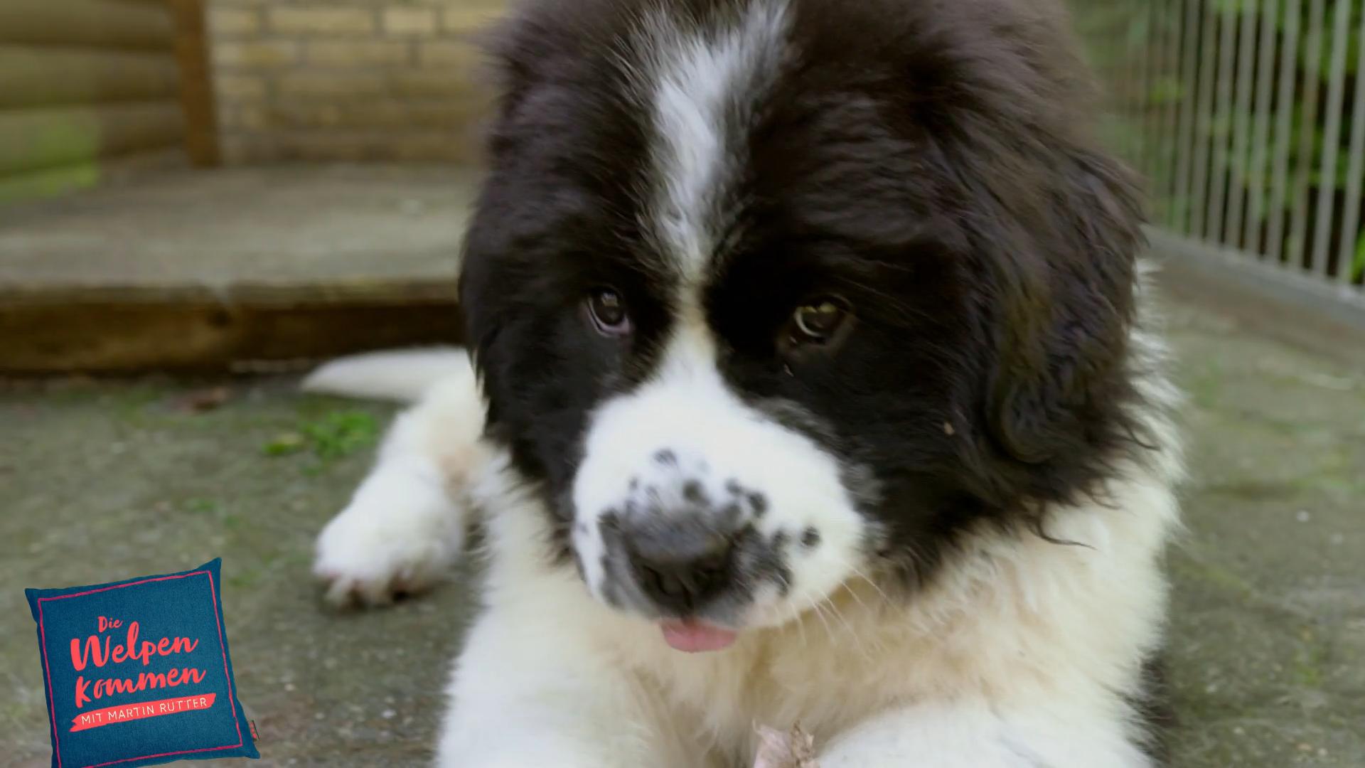 Das passiert in der heutigen Folge