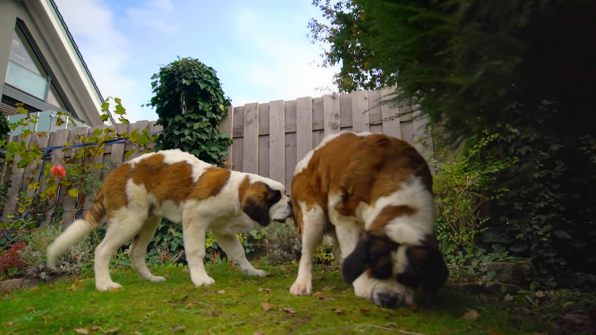 War dieses Mutter-Sohn-Treffen eine gute Idee?