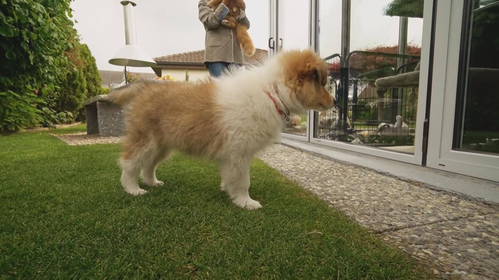 Xantos erster Tag im neuen Zuhause