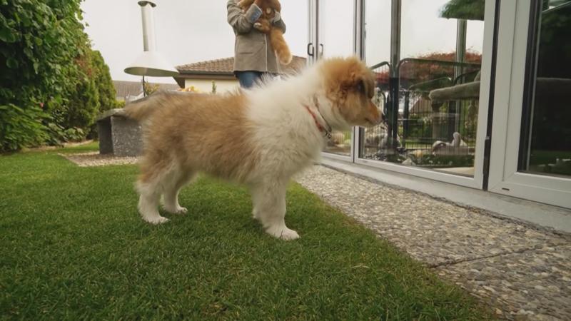 Xantos erster Tag im neuen Zuhause