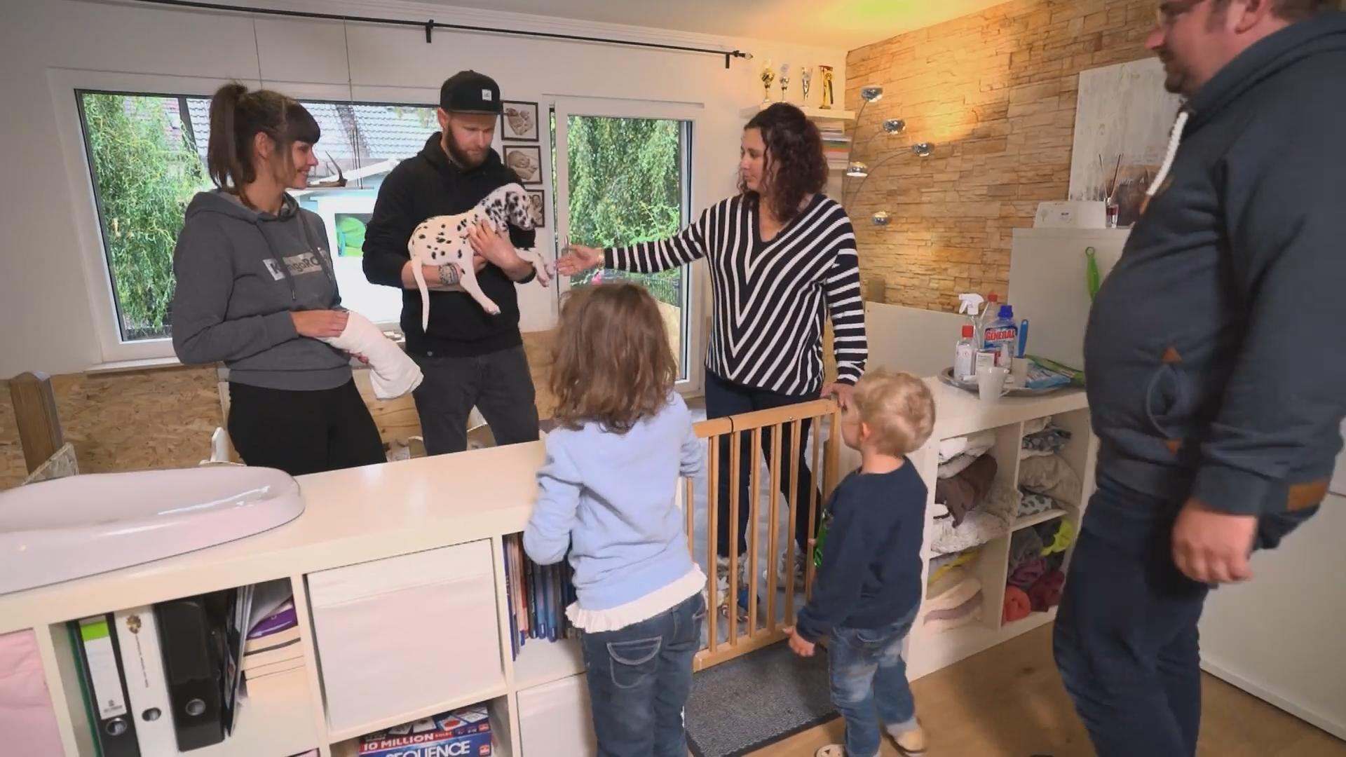 Dalmatiner-Welpe Arik zieht aus