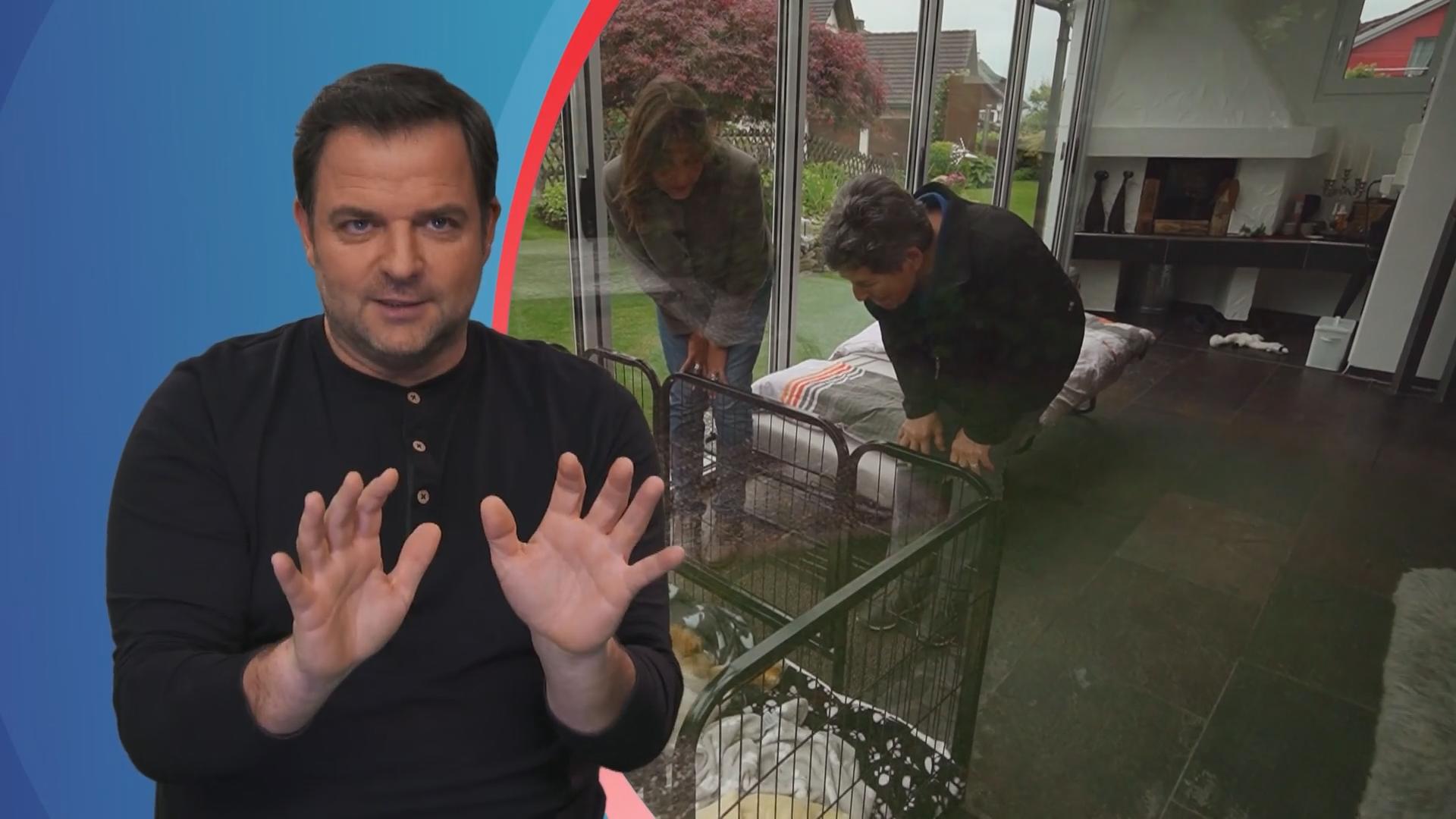 "Das ist für mich der allergrößte Schwachsinn!"