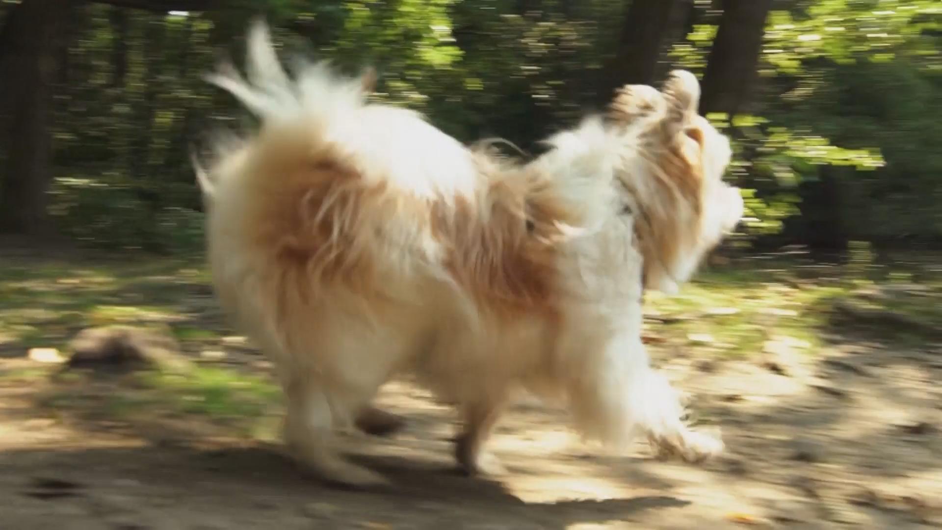Quanja macht einen sehr zufriedenen Eindruck