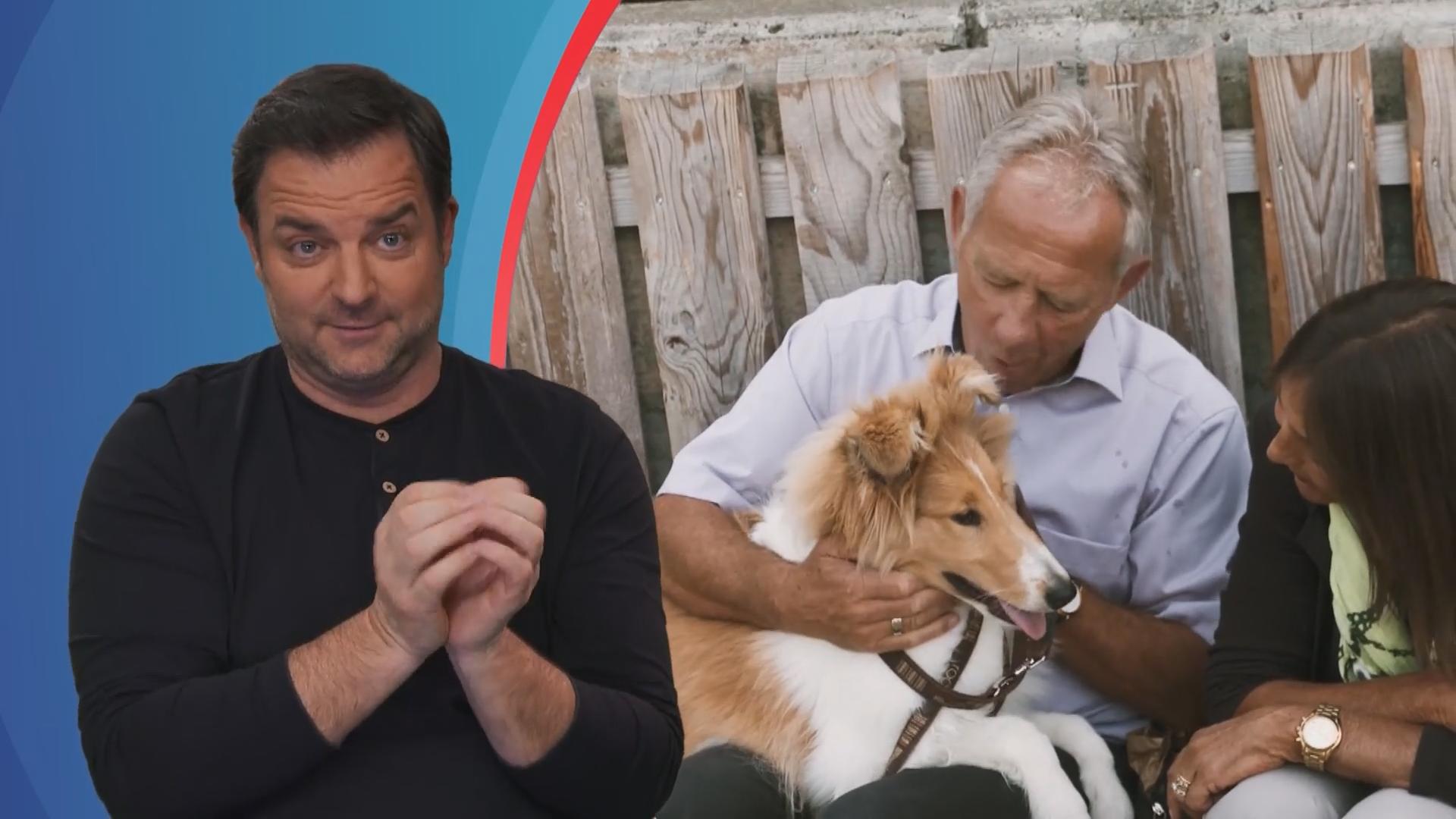 Das gibt Ärger vom Hundeprofi