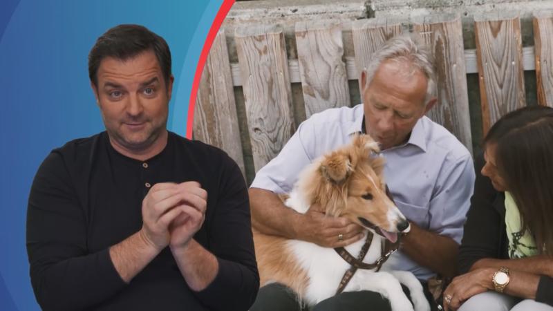 Das gibt Ärger vom Hundeprofi