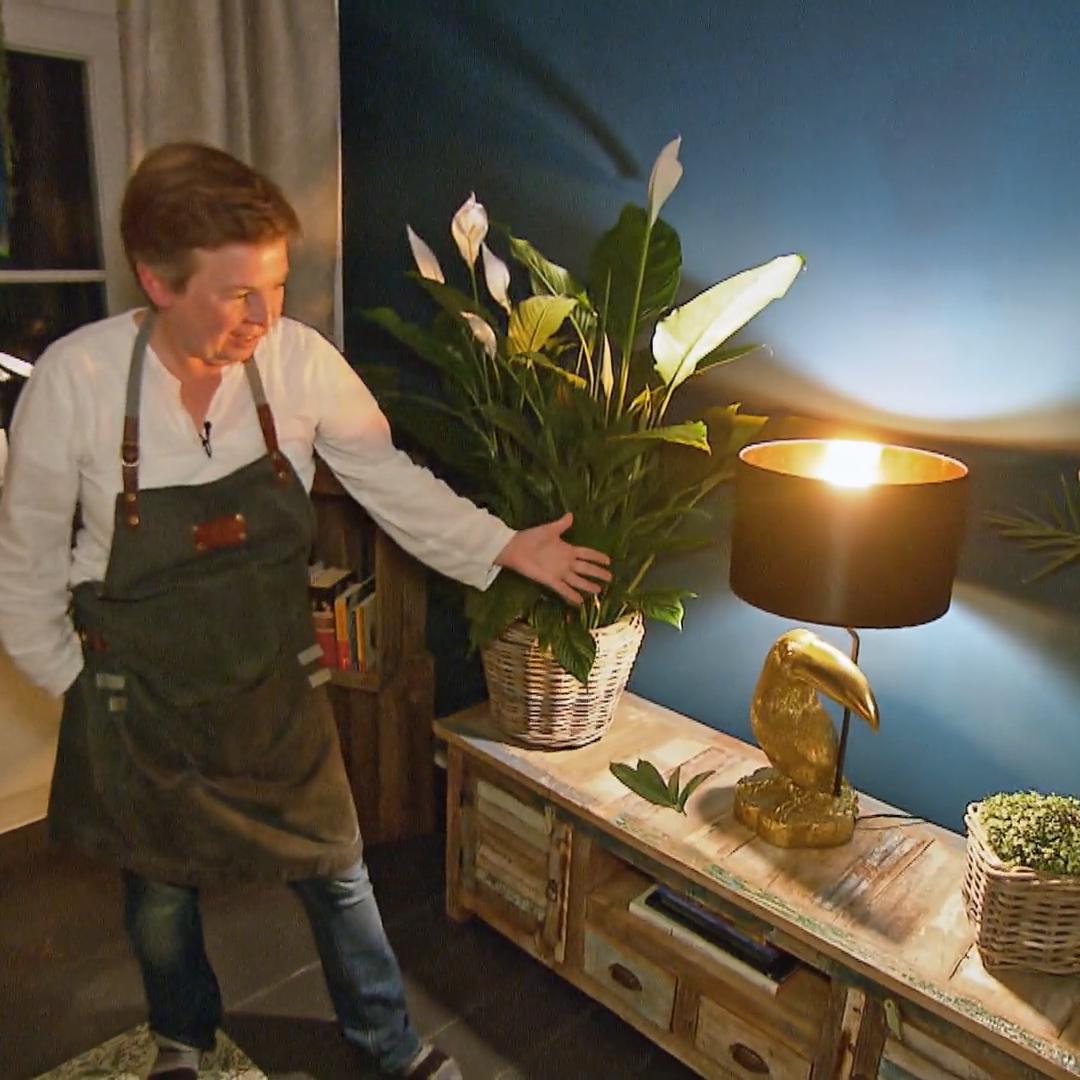 Carolins Wohnzimmer im Vorher-Nachher-Vergleich