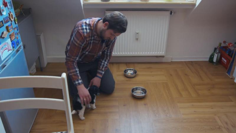 Dieser Zwergpudel ist extrem schüchtern