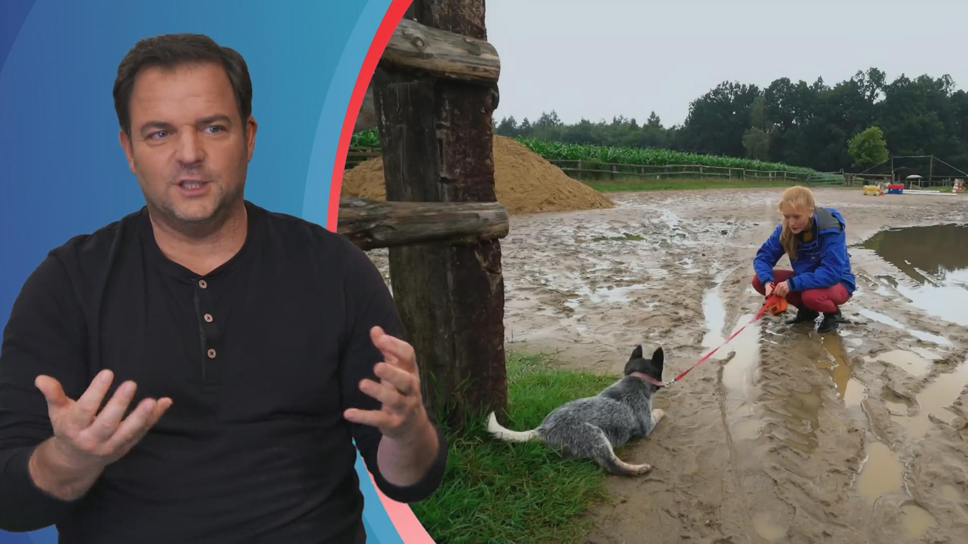 Grace hat absolut keine Lust auf Leine und Halsband