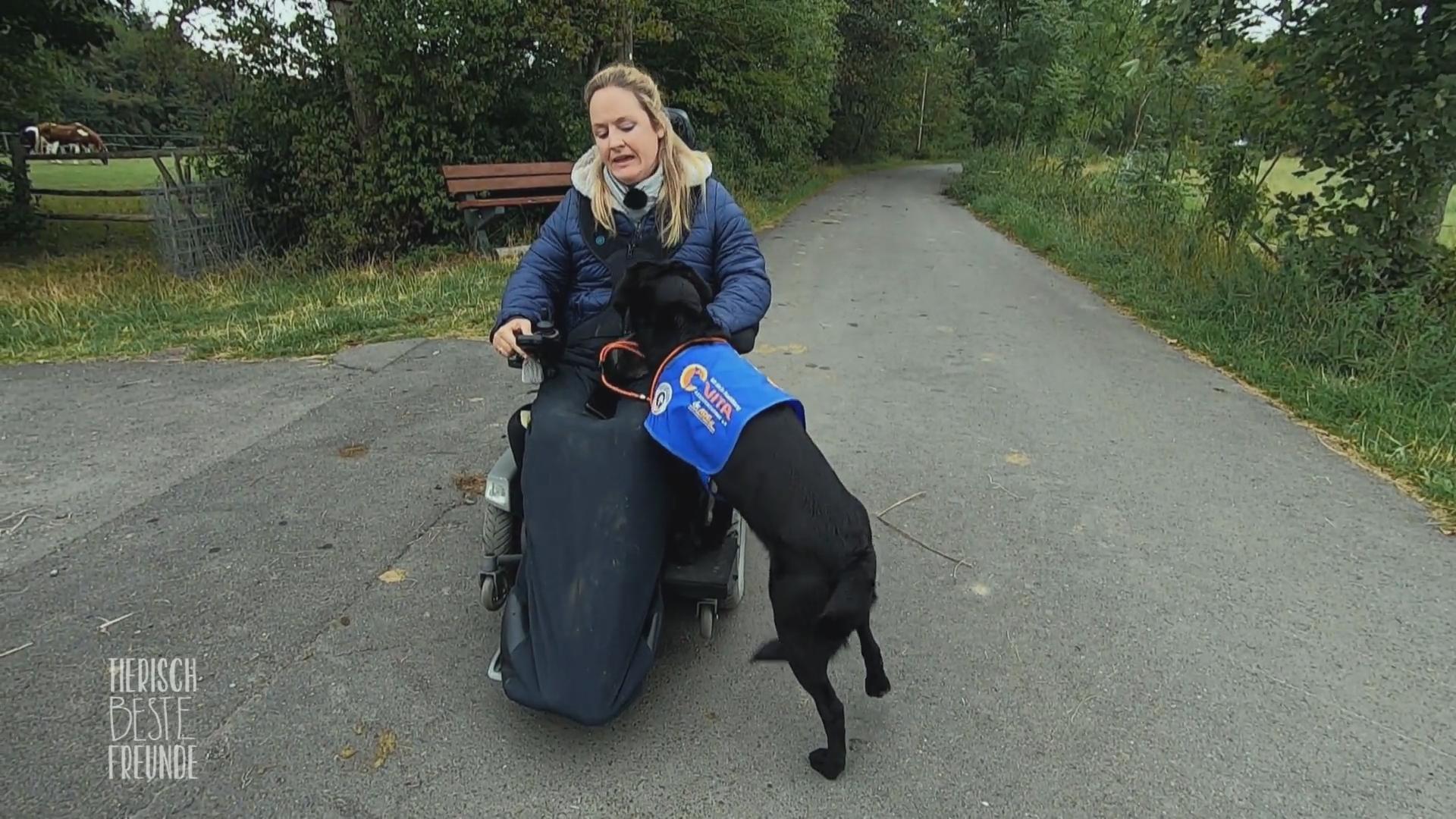 So sieht das Leinentraining bei Nina und Hazel aus