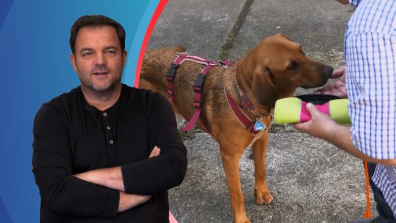 Auch Belohnen muss gelernt werden