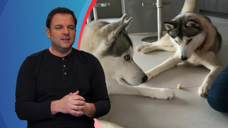 Mato und Finn sind erwachsen geworden