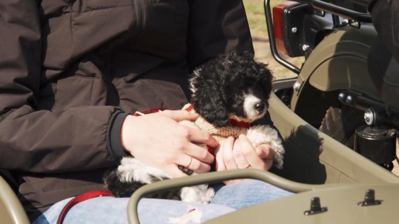 Wilko: Die erste Tour im Beiwagen