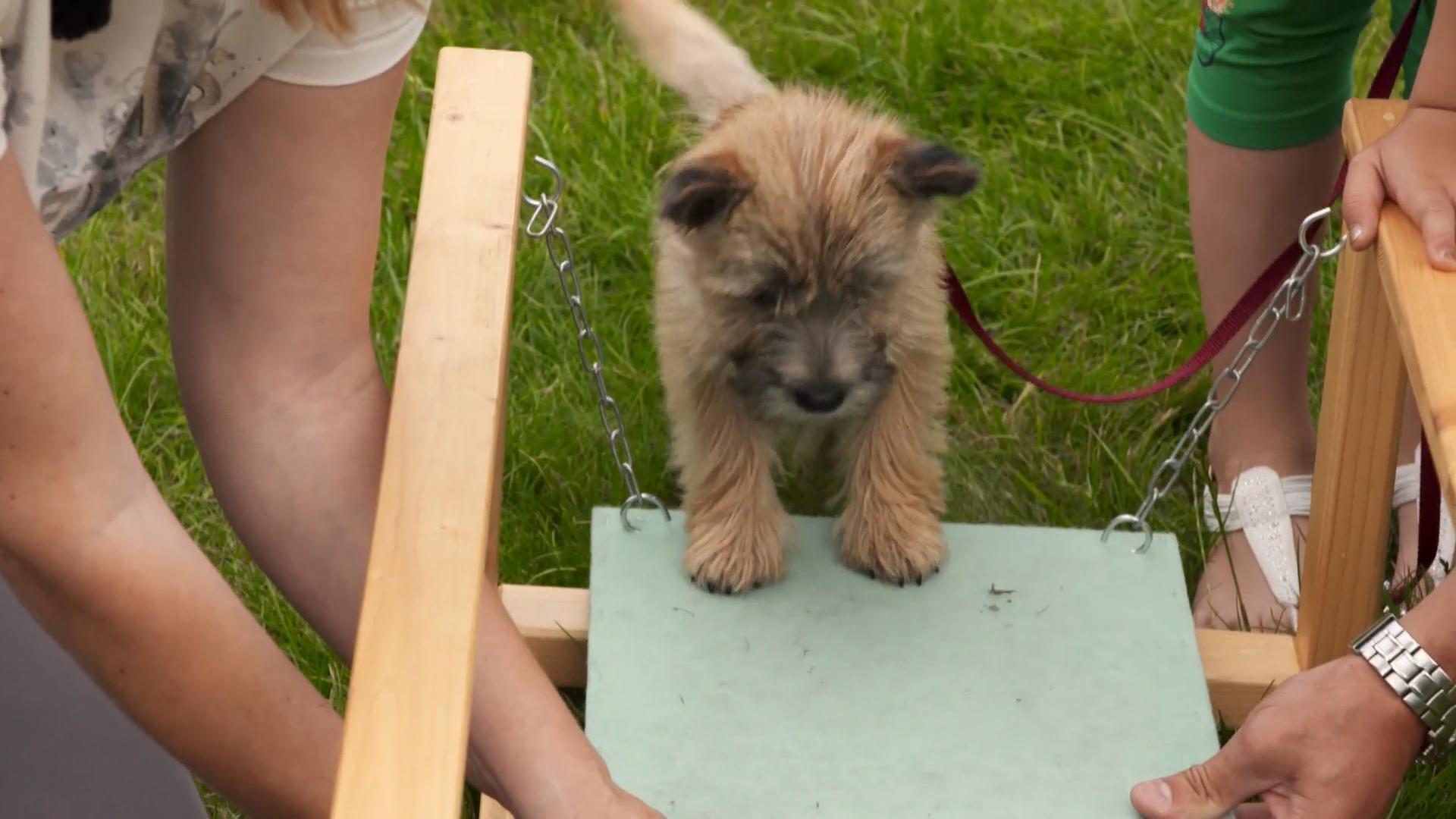 Erstetzt der Parcours den Auslauf?