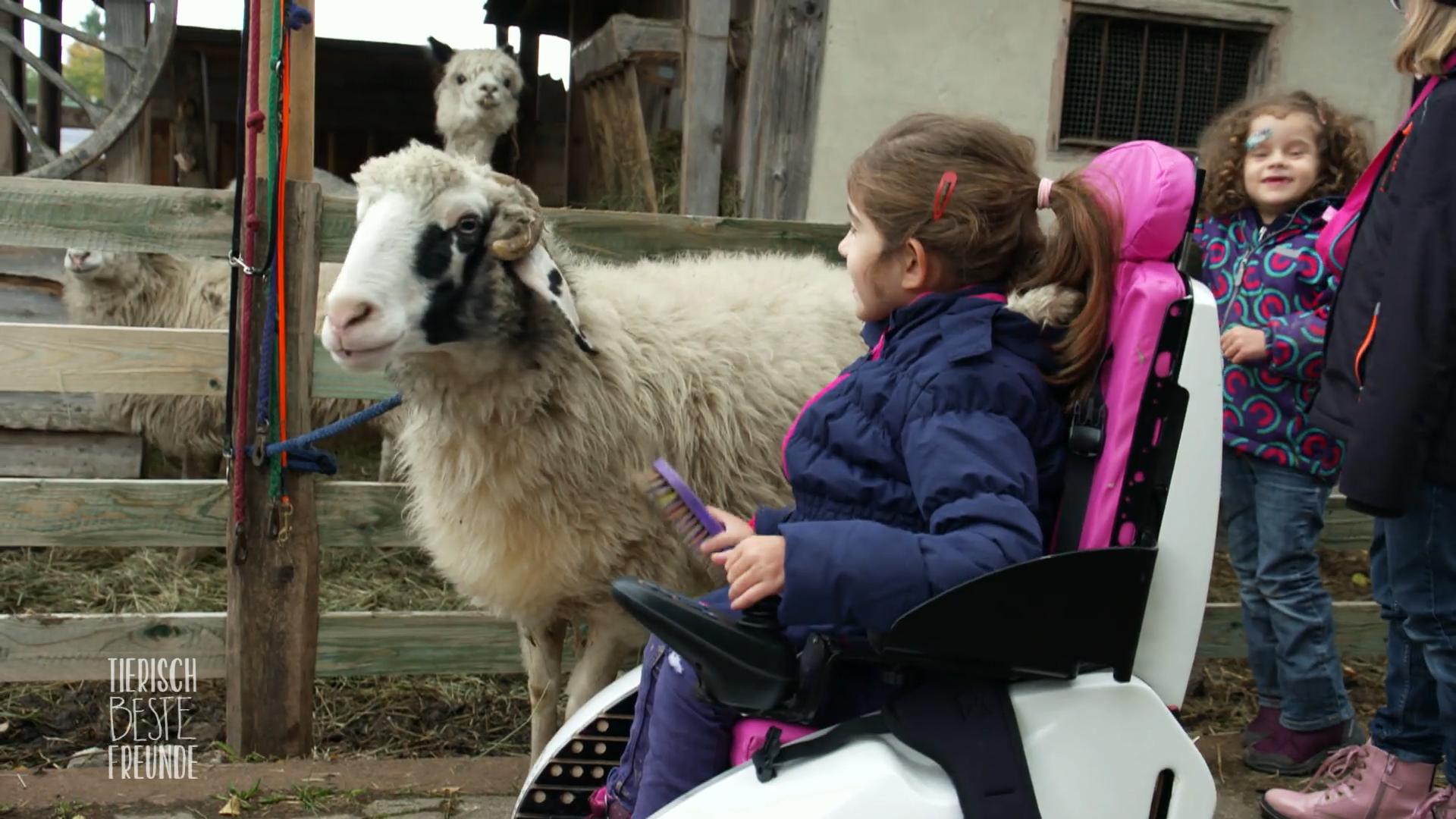 Tiere als Therapeuten für Kinder