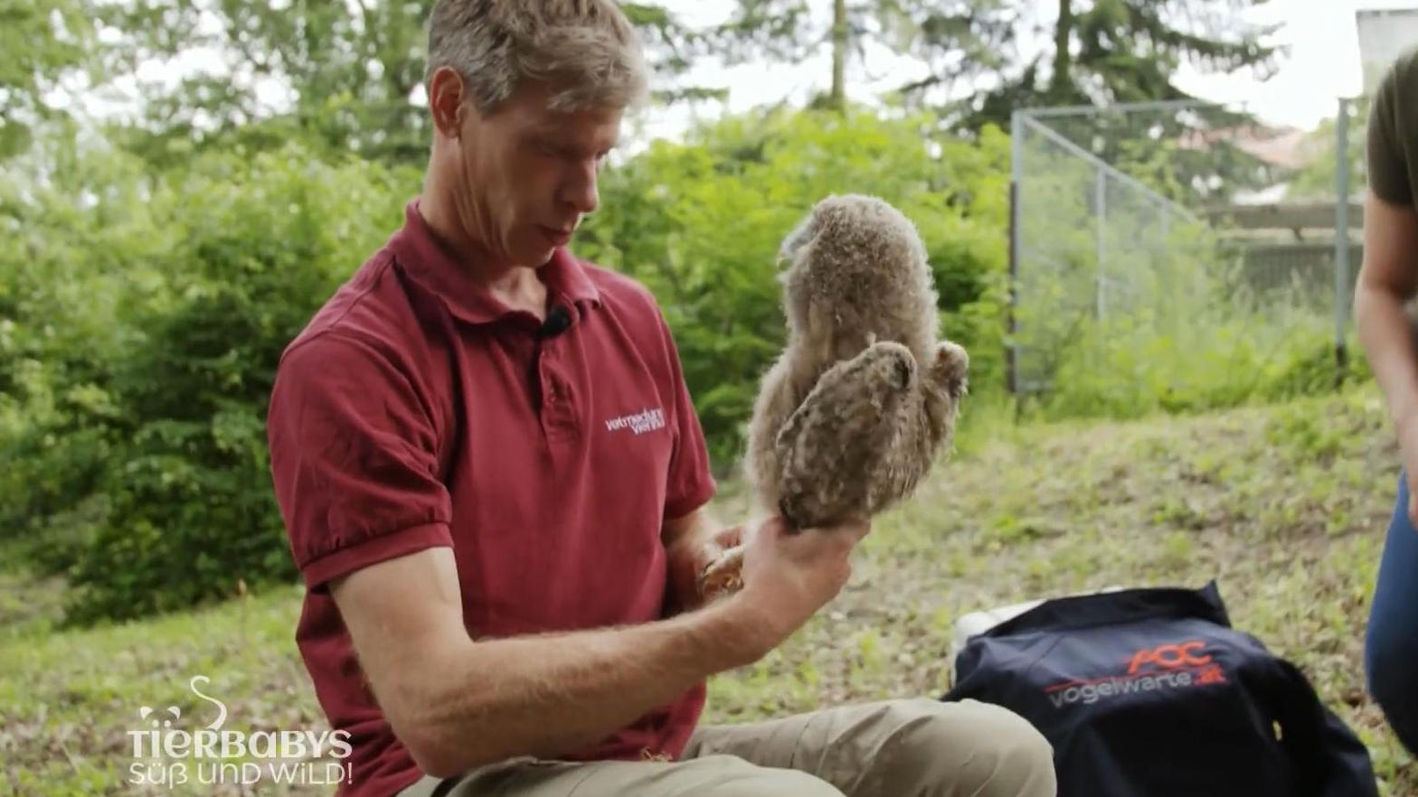Vor Auswilderung ist ein Erkennungsmerkmal nötig