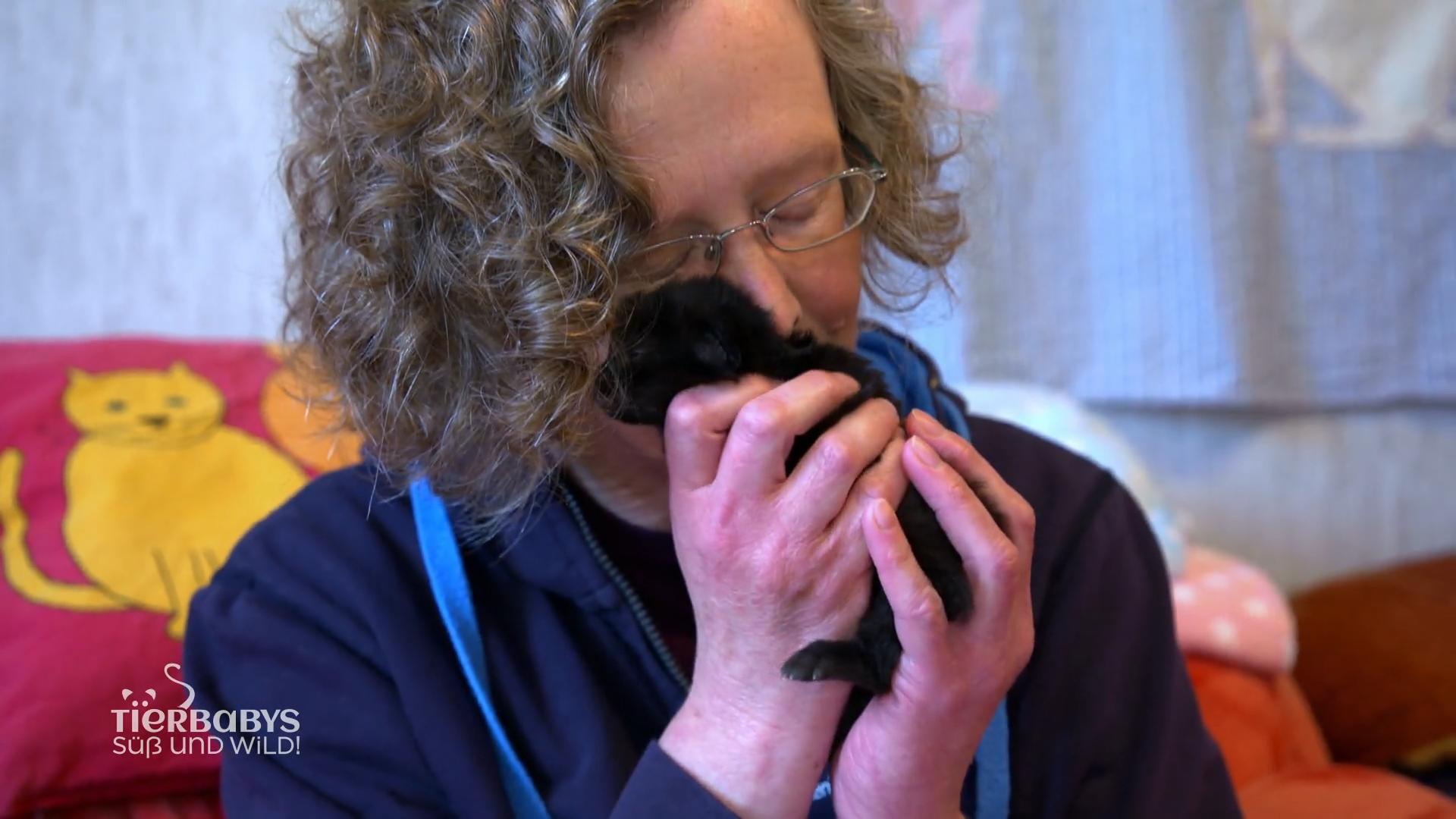 So ist es, in einer Katzenbabyrettung zu arbeiten