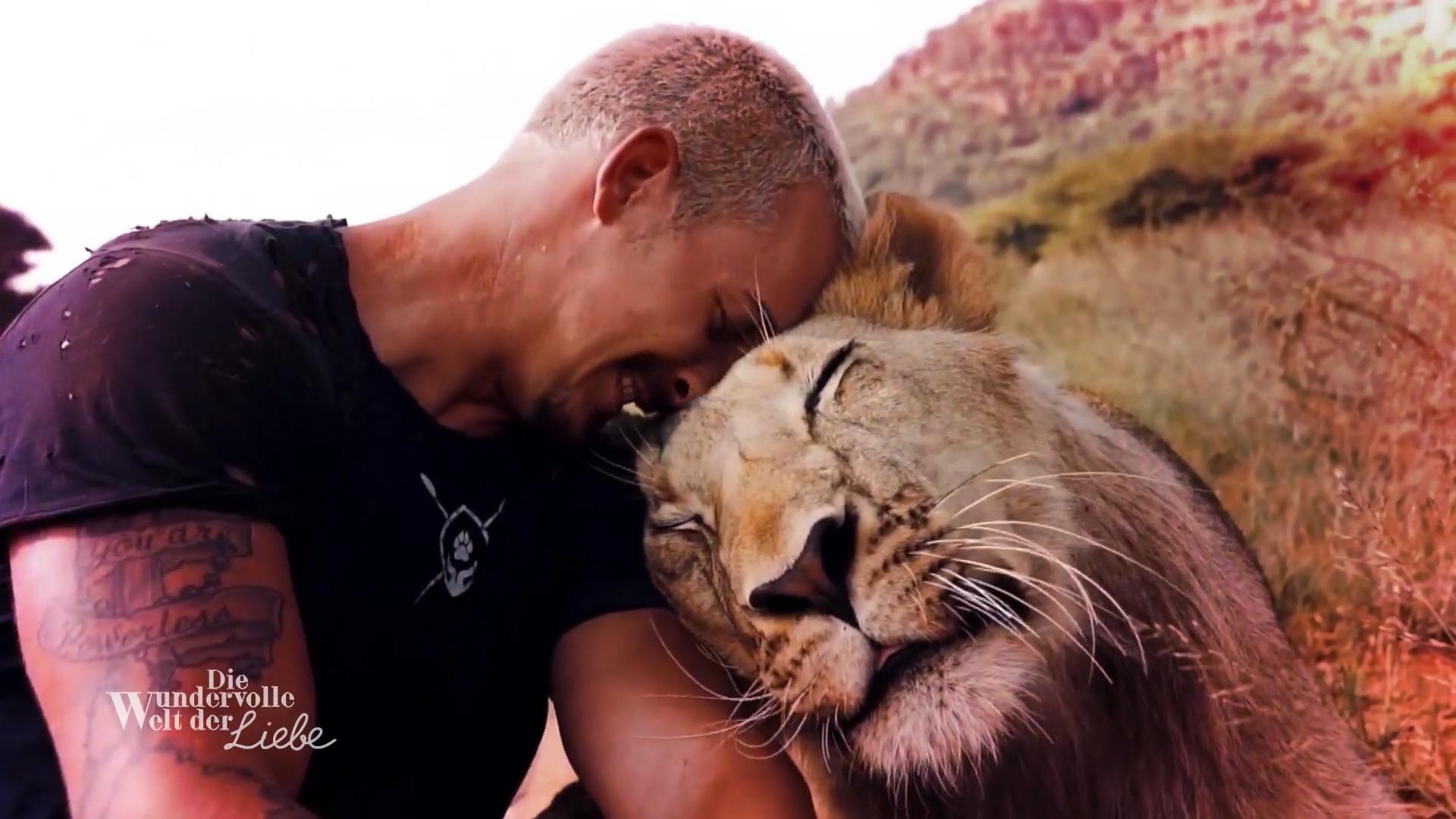 Dean ist Teil einer Löwenfamilie
