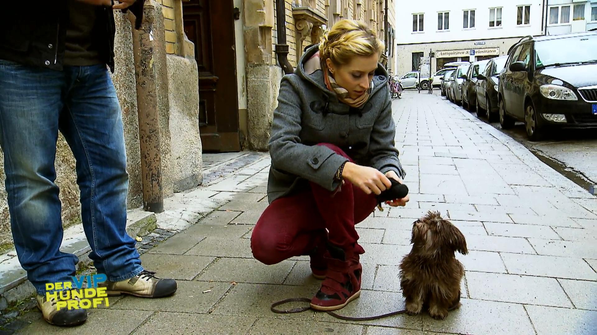Verena Kerths Hund langweilt sich