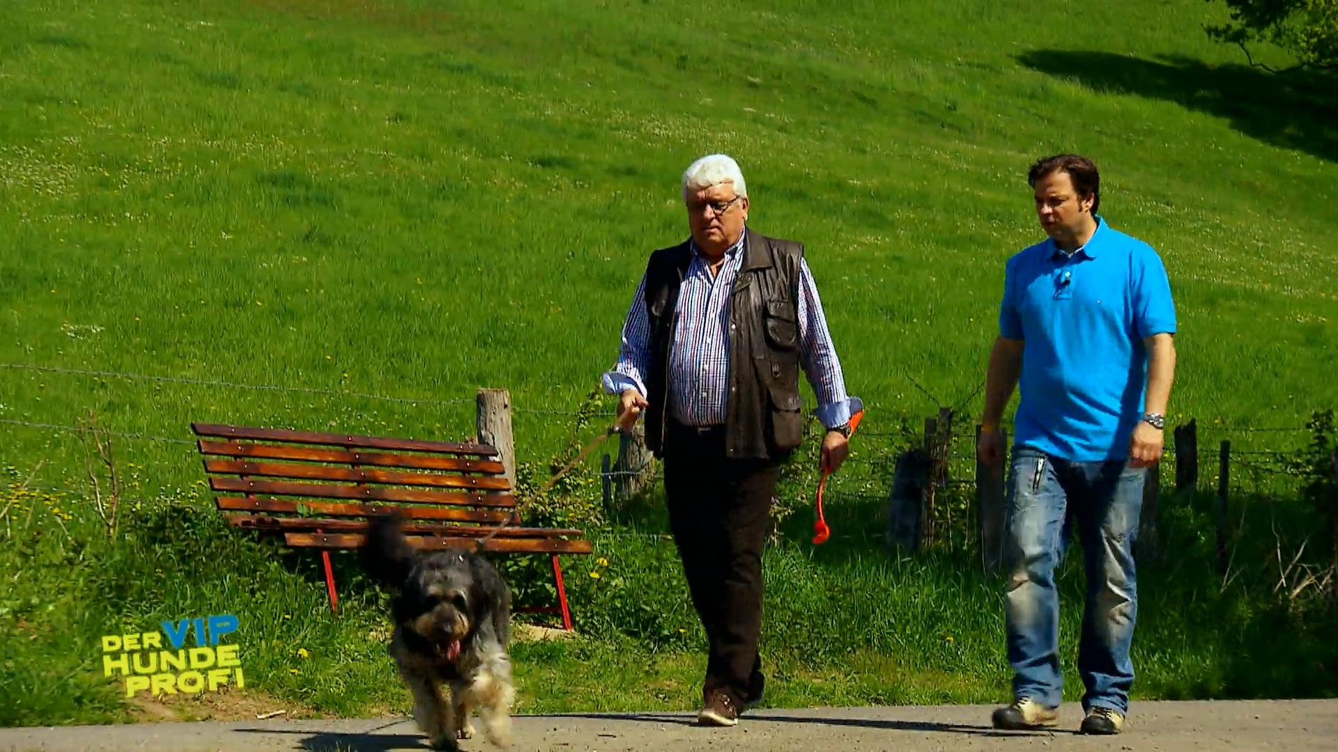 Laika muss gebremst werden