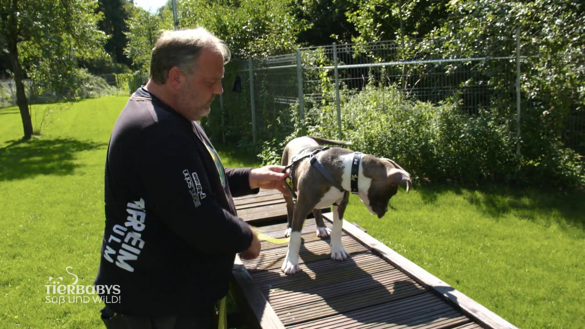 Ein kleiner Staff braucht Training