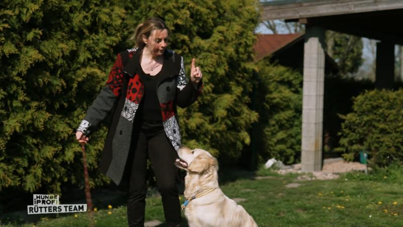 Charlie der Therapiehund