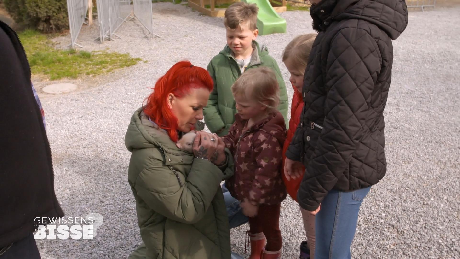 Bei den Babyschweinen schmelzen die Herzen