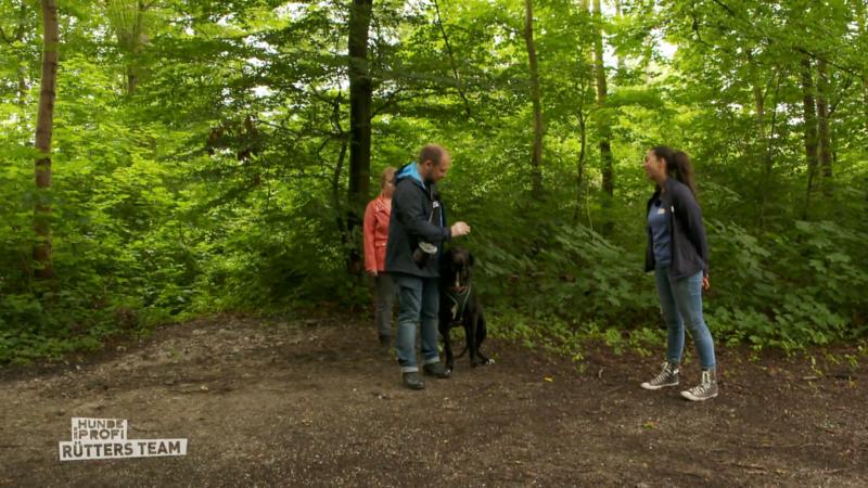 Kann Audrey den anderen Hunden die kalte Schulter zeigen?