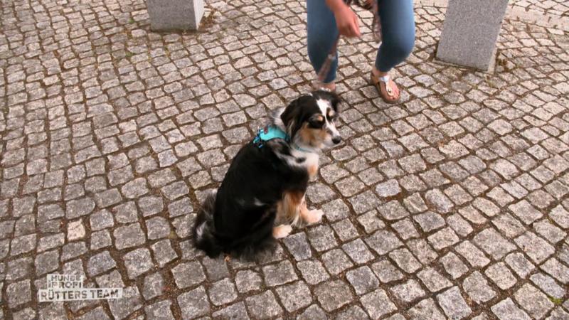 Furcht vor Kindern