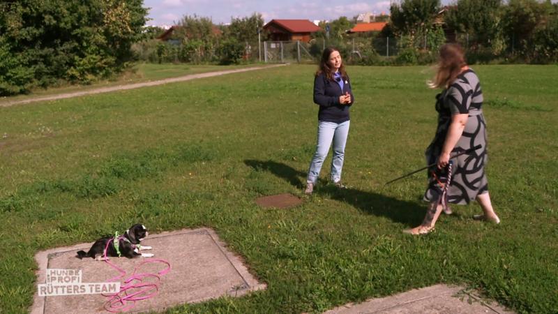 Langeweile ist bei Nala ein No-Go