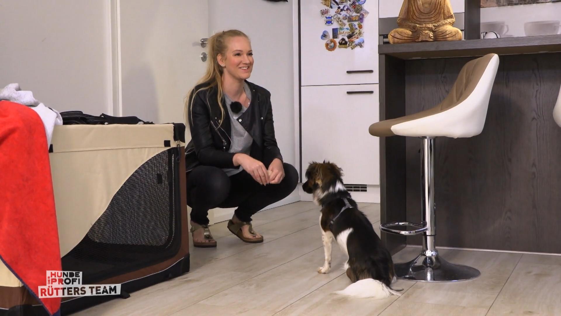 "Heute ist Laika ein völlig anderer Hund"