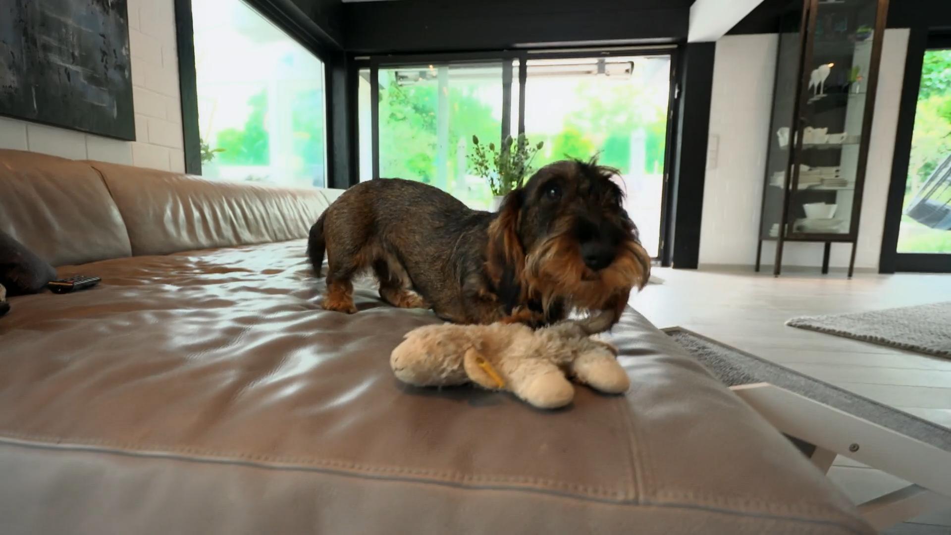 Mittlerweile ist sie eine Dame geworden