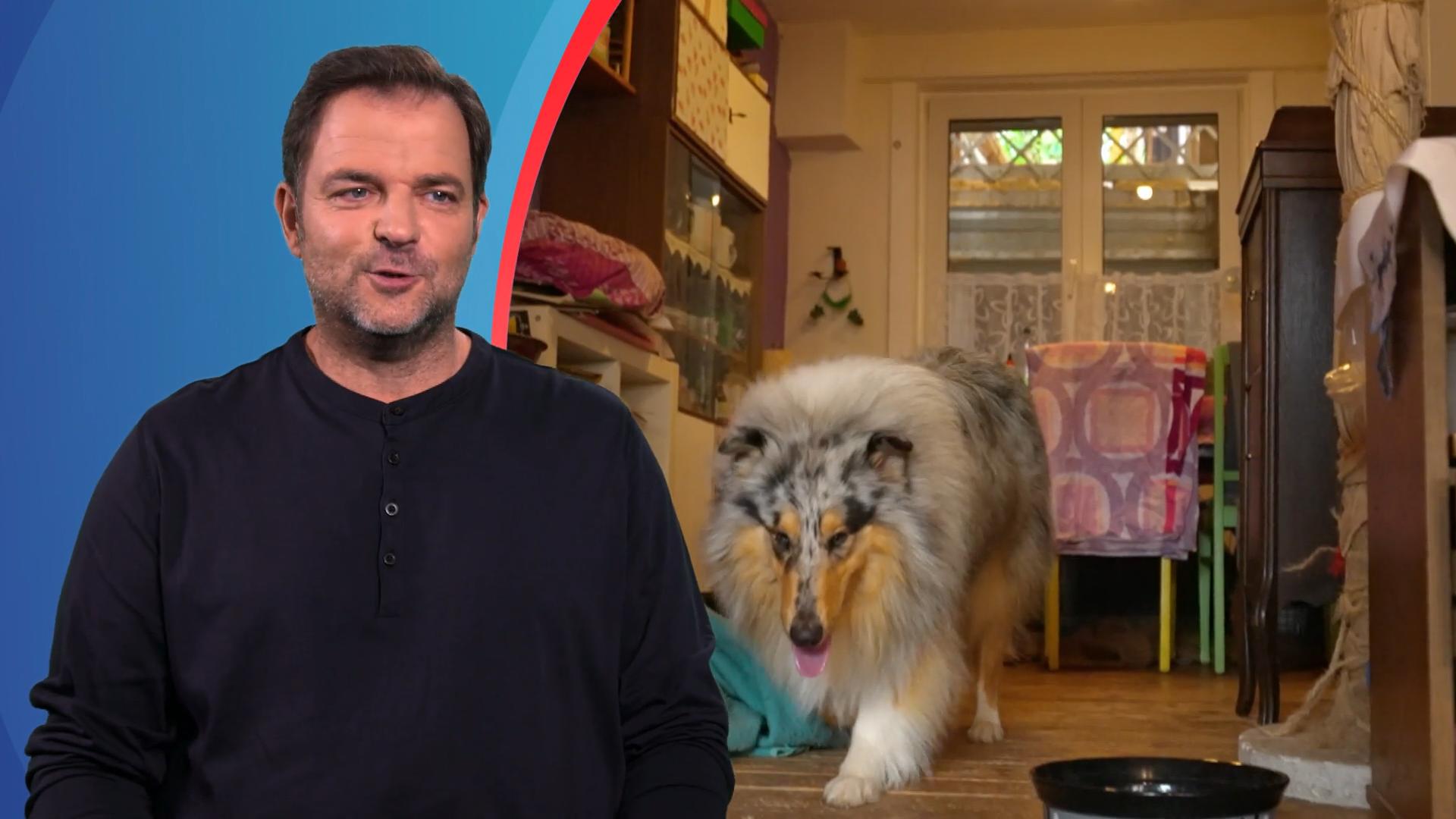 "Einstein ist gerade mitten in der Pubertät"