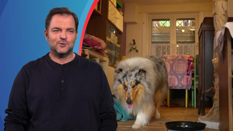 "Einstein ist gerade mitten in der Pubertät"